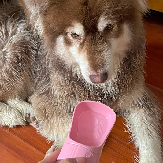 Portable Pet Water Bottle