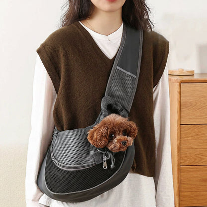 Pet Travel Carrier