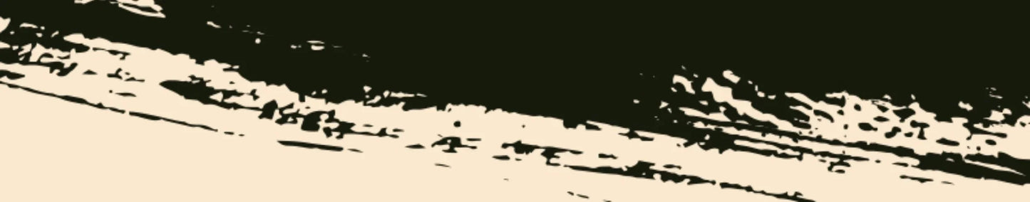 C8815 RC 1:10 JEEP  Car