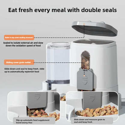 Pet Automatic Feeder with Water Fountain