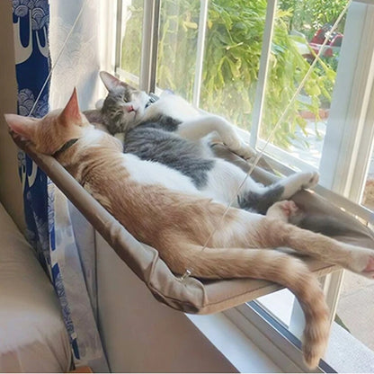 Aerial Hanging Pet Hammock