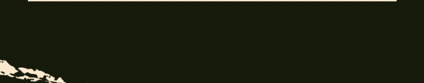 C8815 RC 1:10 JEEP  Car