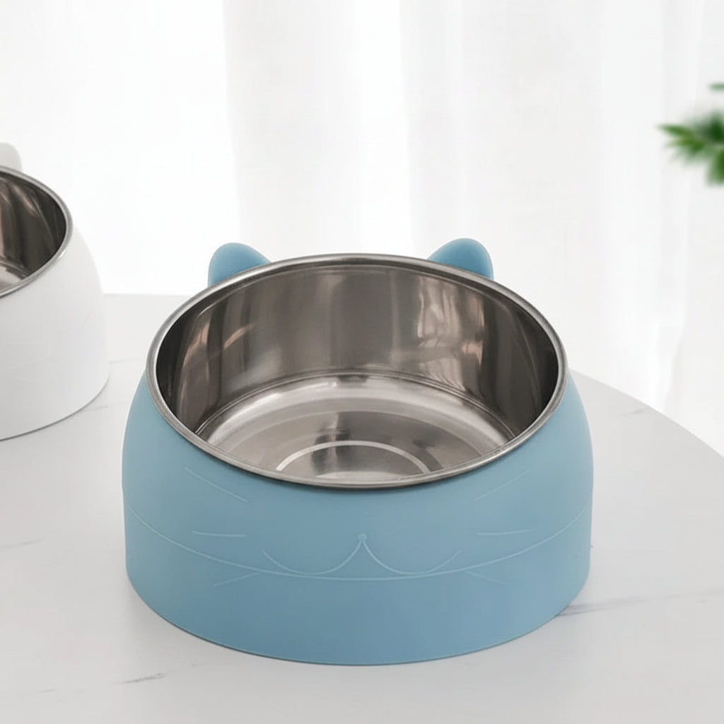 Stainless Steel Creative Inclined Bowl