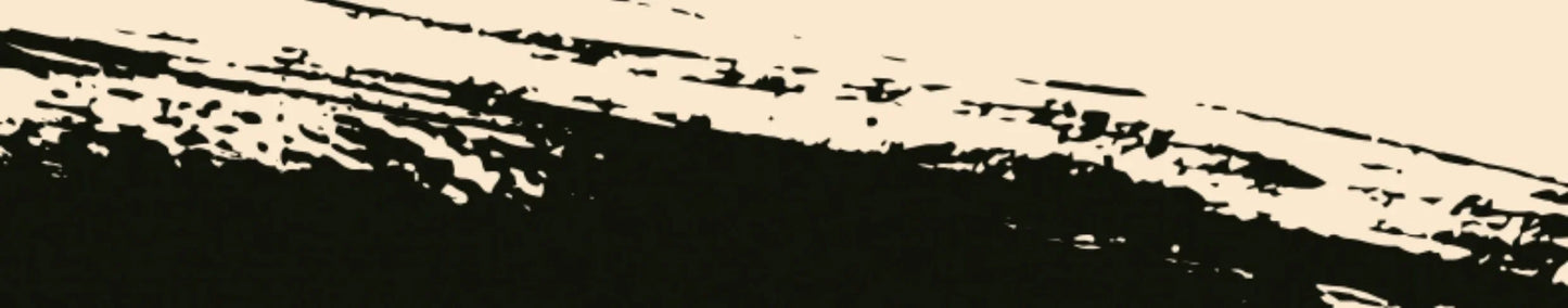 C8815 RC 1:10 JEEP  Car